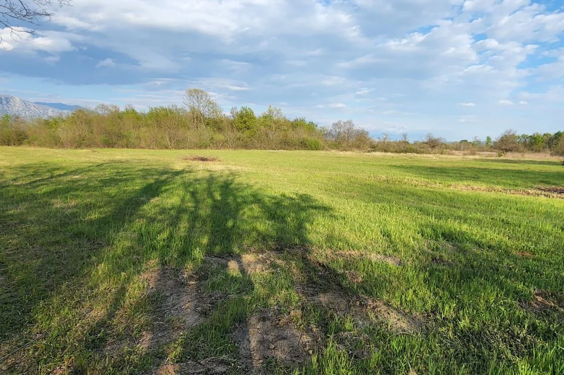 5,554 m² Plot with UT Conditions, Jastreb, Danilovgrad