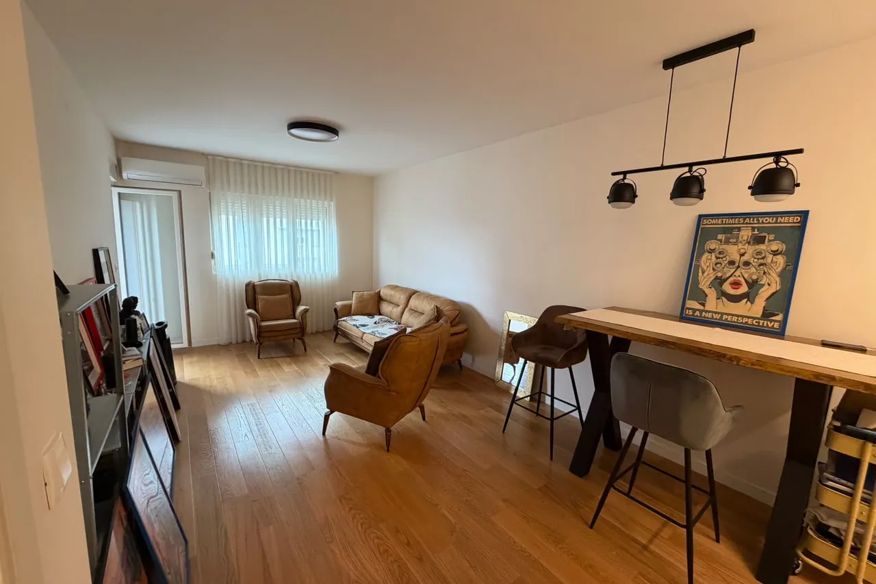 One-Bedroom Apartment, 49 m², Central Point, Podgorica